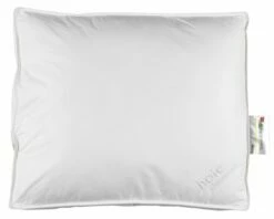 Kudde 1000g Hoie DOWNFEEL 50x60x10